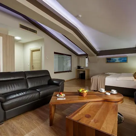 Hotel Arus
