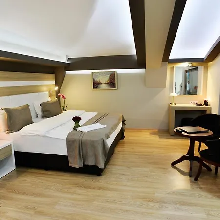 Hotel Arus 3*