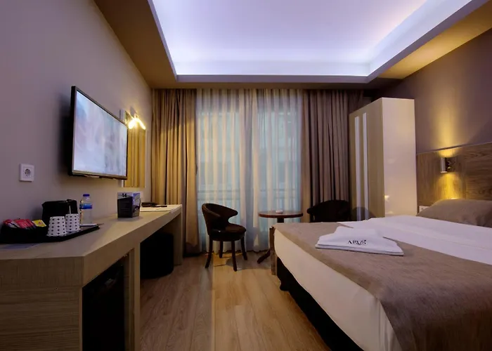 Hotel Arus 3*